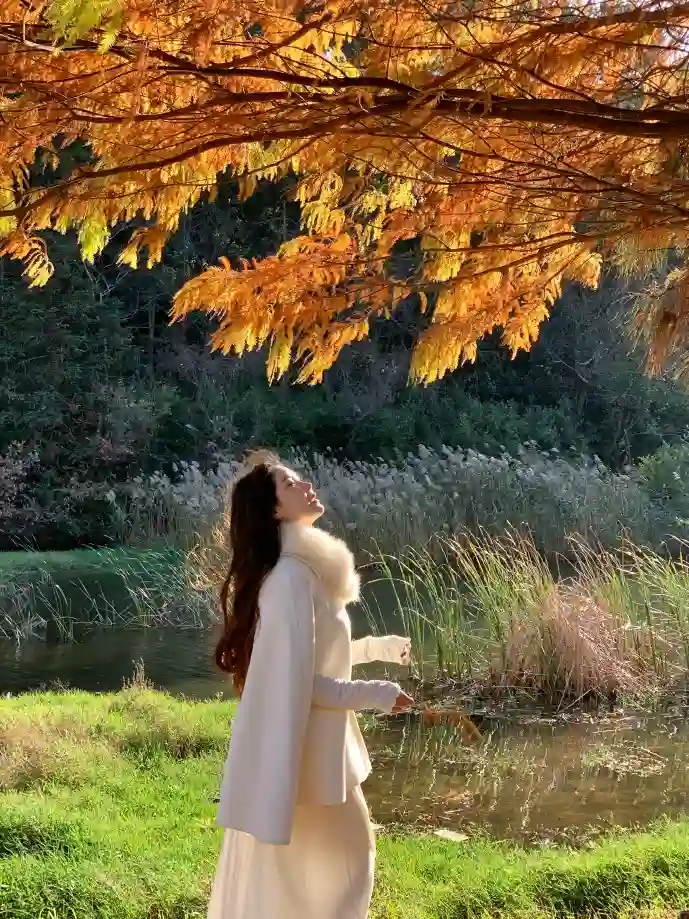 星火影视下载使用场景